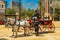 A policeman talking to a coachman of a pair of light gray horses at the Horse Feria, Jerez de la Frontera, Andalusia, Spain, May 1