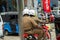 Policemen in uniform riding on a motorcycle