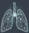 Poligonal depiction of bronchitis, pneumonia in lungs. Internal organ of human respiratory system