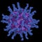 Poliovirus, receptor-bound functional viral particle