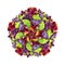 Poliovirus, an RNA virus that causes polio disease