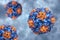Poliovirus, an RNA virus from Picornaviridae family that causes polio disease