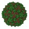 Poliovirus type 3 sabin. Virus that cause poliomyelitis polio. Atomic-level structure.