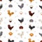 Polish Chicken breeds seamless pattern. Poultry and farm animals. Different colors set