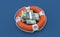 Polish currency inside life buoy