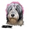 Polish Lowland Sheepdog dog portrait isolated. Digital art illustration of hand drawn dog for web, t-shirt print, puppy food cover