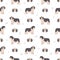 Polish lowland sheepdog seamless pattern. Different poses, coat colors set