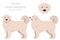 Polish Tatra Sheepdog clipart. All coat colors set.  All dog breeds characteristics infographic