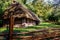 Polish village. Old cottage in Open-air ethnography museum in Sanok.