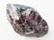 polished Almandine garnet crystals on white marble