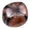 Polished Chiastolite Andalusite stone isolated