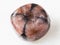 polished Chiastolite gemstone on white