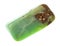 Polished chrysoprase gem stone cutout on white