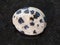 polished dalmatian stone on dark background
