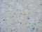 Polished granite ivory texture