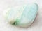 polished green Aragonite gemstone on white