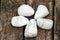 Polished howlite minerals set