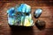 Polished labradorite crystals