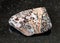 polished Leopard Skin Jasper Jaguar Stone on black