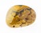 polished Leopard Skin Jasper (Jaguar stone) stone