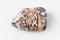 Polished Leopard Skin Jasper Jaguar Stone on white