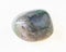 polished Moss Agate gemstone on white