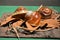 Polished muffin snail animal found in forest leaves