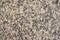 Polished Pink Granite Stone Texture