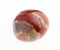 polished red brecciated jasper gemstone on white