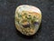 polished rhyolite rainforest jasper gemstone