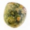 polished rhyolite ( rainforest jasper) stone