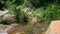 Polished Rock on Fast Transparent Mountain River with Green Bank