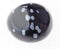 polished snowflake obsidian gem on white