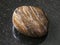 polished stromatolite gemstone on dark background