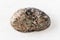 Polished Titanite Sphene rock on white marble