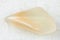 polished yellow moonstone (adularia) gem on white