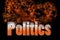 Politics 3D illustration word in fire text