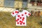 Polka Dot Jersey Decoration - Le Tour de France Femmes 2022