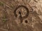 Polkadot Crypto Ground Hole Dry Fossil Dead Excavation 3D Illustration