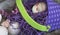 Polkadot Easter basket is purple with lime green handle for text, and eggs, chick, grass.