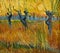 Pollard willows at sunset by famous Dutch painter Vincent Van Gogh