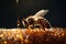 pollen apiarist background gold insect nature bee closeup yellow honey macro. Generative AI.