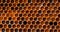 Pollen filled bee honeycombs, beeswax, nature background