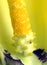 Pollen on Golden Arum Lily