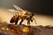 pollen macro yellow gold honey background bee animal nature closeup insect. Generative AI.