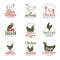 Pollo labels. Fast food chicken logotypes badges farm meat of bird vector template