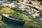 A polluted stream bed, with an old tire, plastic, and bottles, spewed around the mud, in a lush public park.