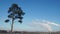 Pollution of the environment. Smoke from factory chimneys and lonely tree in a field