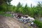 Pollution of the forest by household rubbish. A pile of garbage in the forest. The global problem of pollution