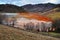 Pollution of a lake with contaminated water from a gold mine.